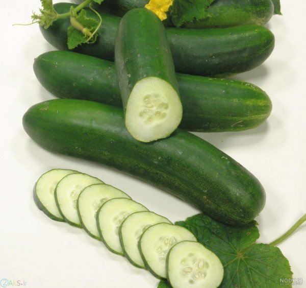  عکس خیار برای پروفایل