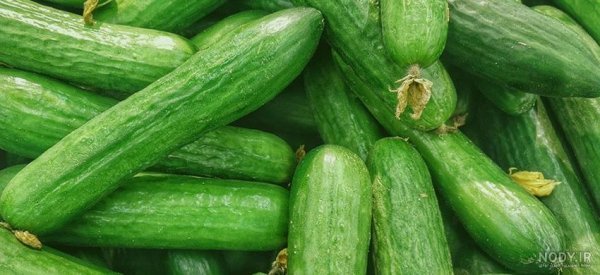  عکس خیار برای پروفایل