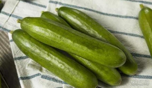  عکس خیار برای پروفایل