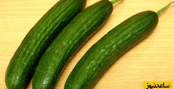  عکس خیار برای پروفایل