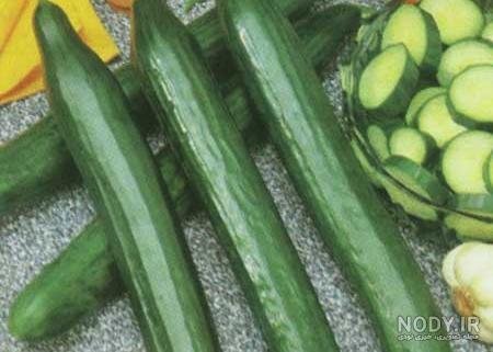  عکس خیار برای پروفایل