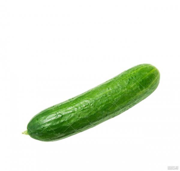  عکس خیار برای پروفایل