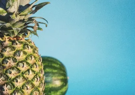  عکس هندوانه قاچ شده