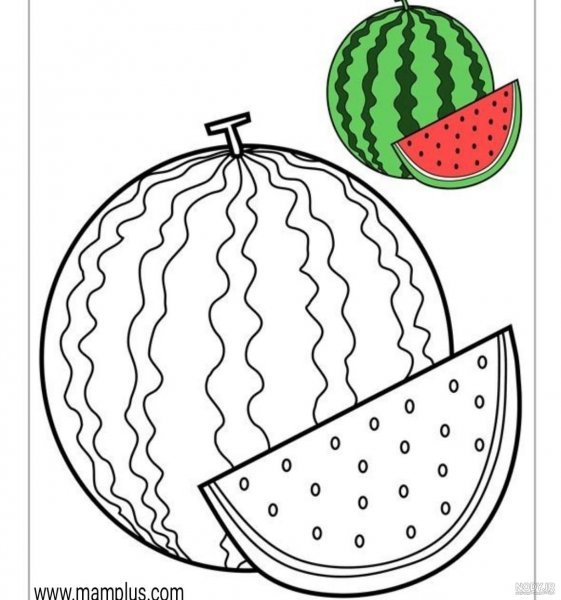  عکس هندوانه نقاشی