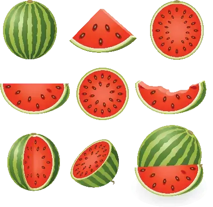  عکس هندونه برای تصویر زمینه