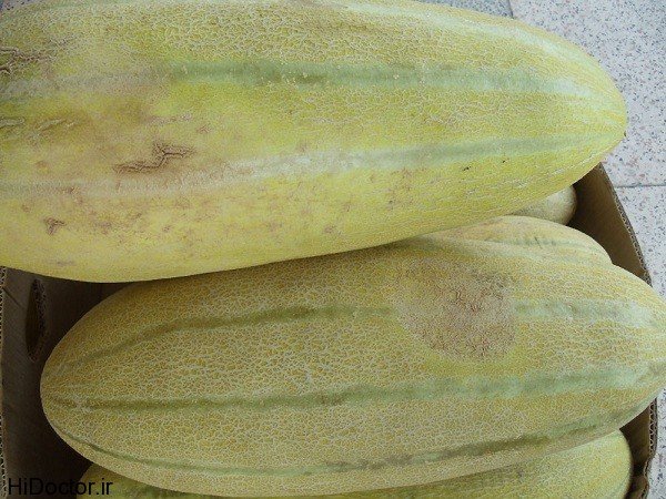  عکس خربزه