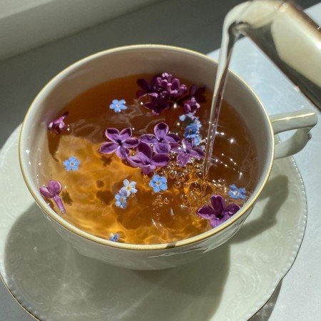  عکس های بستنی