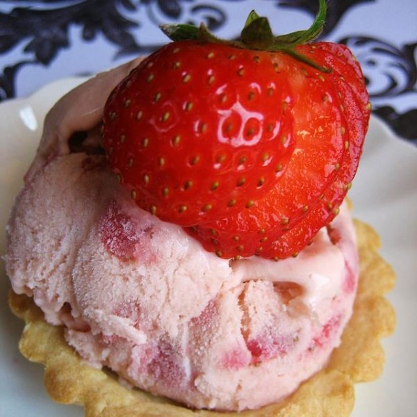  عکس بستنی های باکلاس