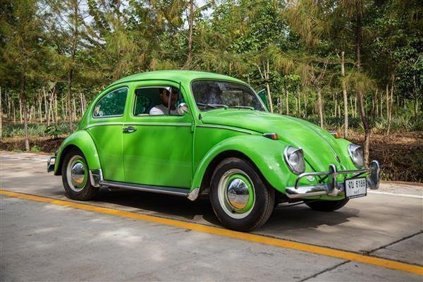  والپیپر فولکس قورباغه ای آبی رنگ