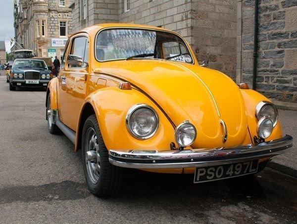  والپیپر فولکس قورباغه ای آبی رنگ