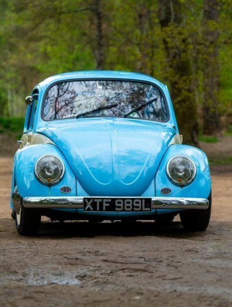  والپیپر فولکس قورباغه ای آبی رنگ