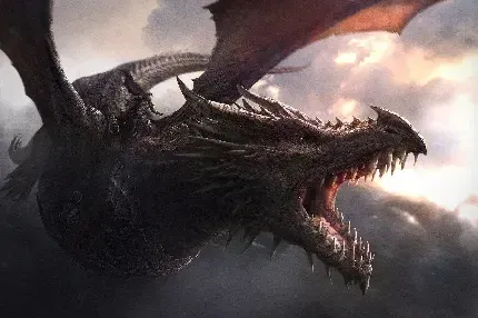  عکس دراگون اژدها