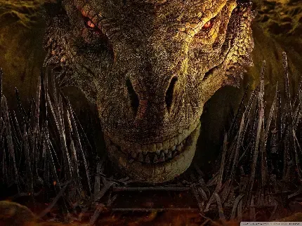  عکس دراگون اژدها