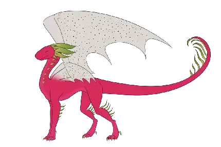  عکس دراگون اژدها