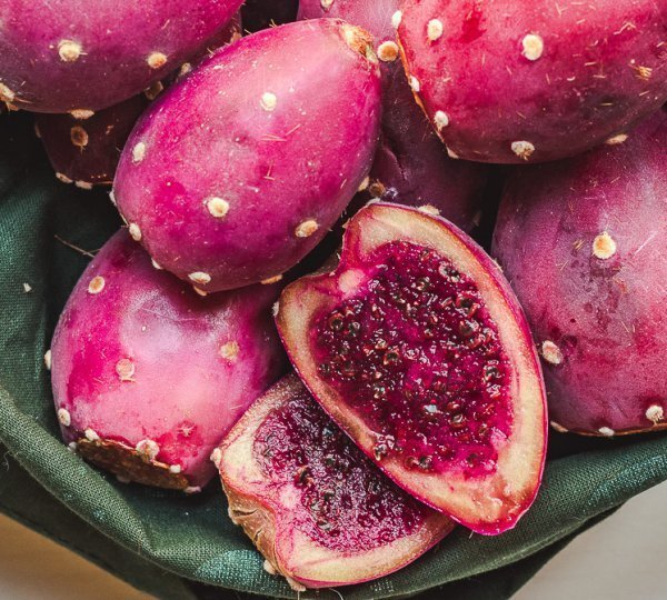  عکس میوه کاکتوس