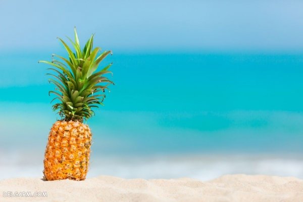  عکس آناناس فانتزی