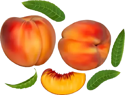  عکس هلو نرم و گوشتی