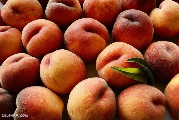  عکس هلو برای پروفایل