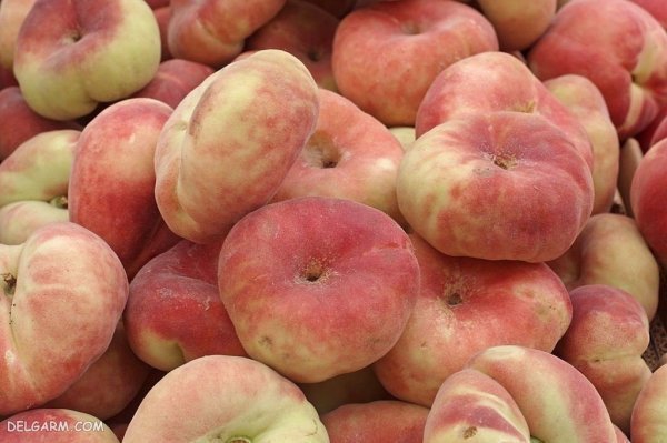 عکس هلو انجیری