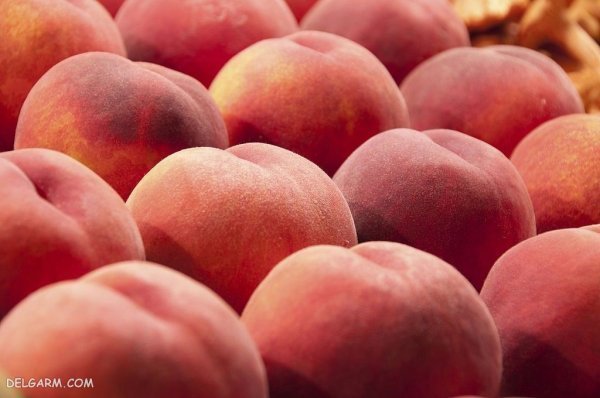  عکس هلو انجیری