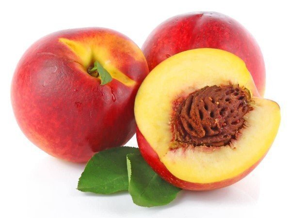  عکس هلو و شلیل