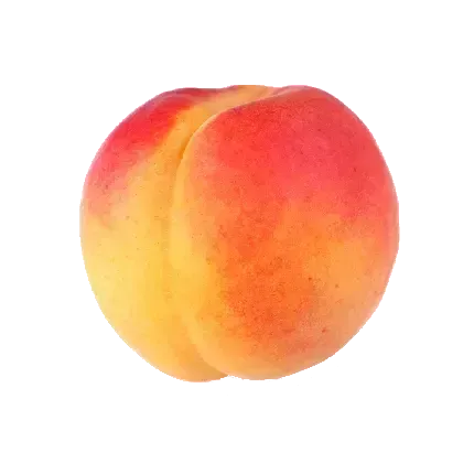  عکس هلو نقاشی