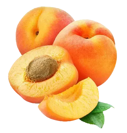  عکس هلو نقاشی