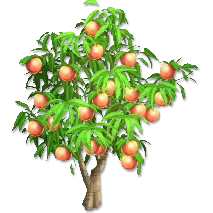  عکس هلو نقاشی