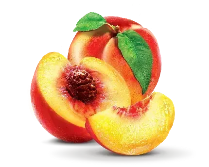  عکس هلو نقاشی