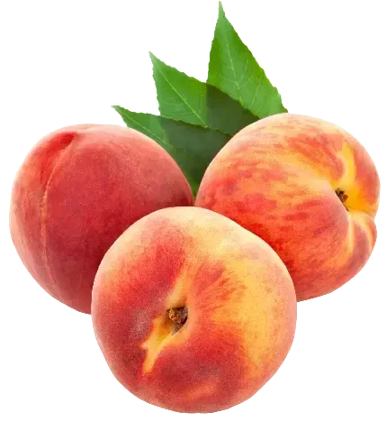  عکس هلو کیوت