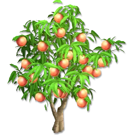  عکس هلو کیوت