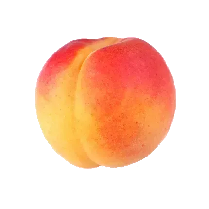  عکس هلو کیوت