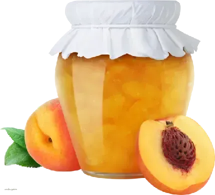  عکس هلو کیوت