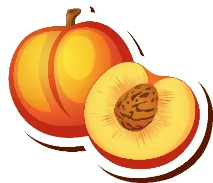  عکس هلو کیوت