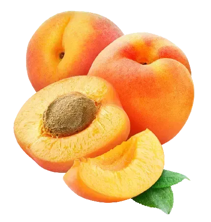  عکس هلو کیوت