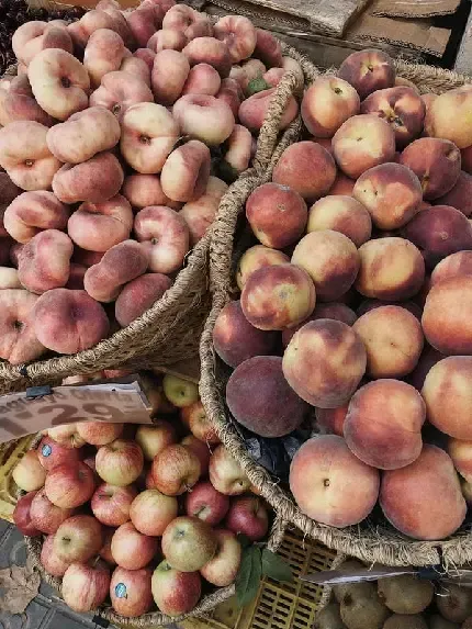  عکس هلو زعفرانی