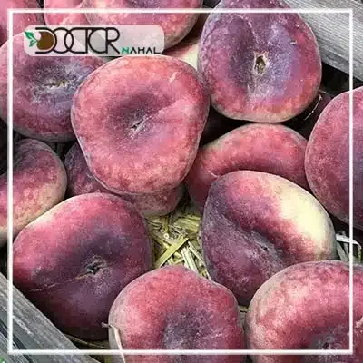  عکس درخت هلو