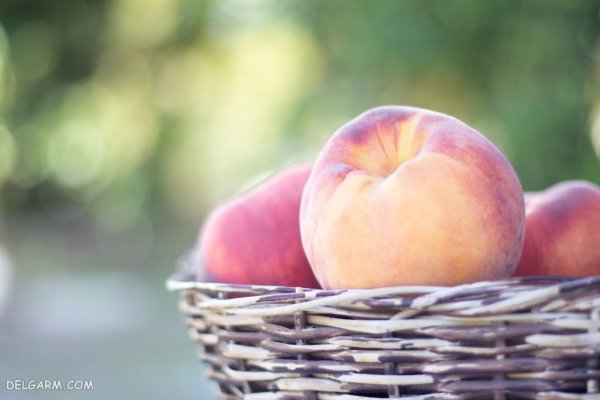  عکس هلو برای استوری اینستاگرام