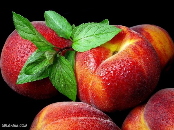 عکس هلو زعفرانی