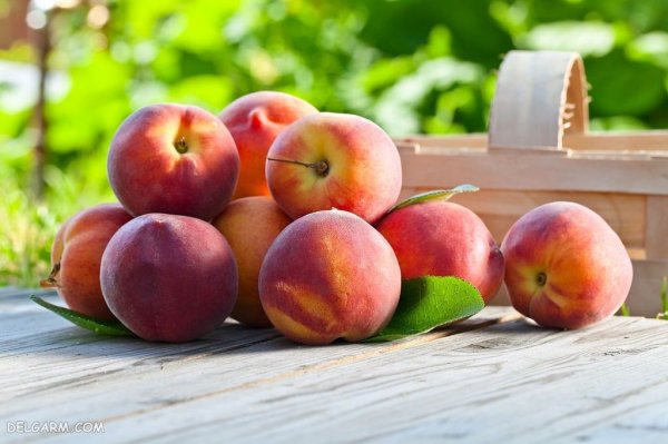 عکس هلو زعفرانی