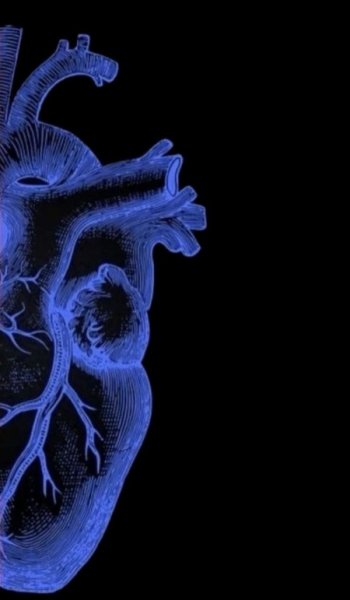 عکس خاص و زیبا