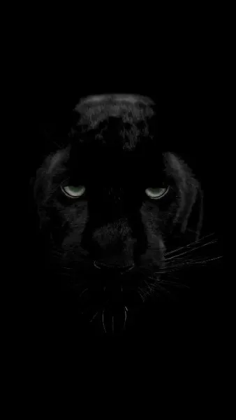  عکس پلنگ خفن سیاه برای پروفایل پسرانه