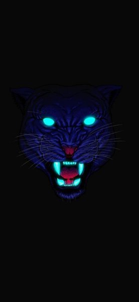  عکس یوزپلنگ خفن