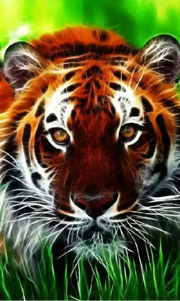  پس زمینه ببر برای گوشی ایفون