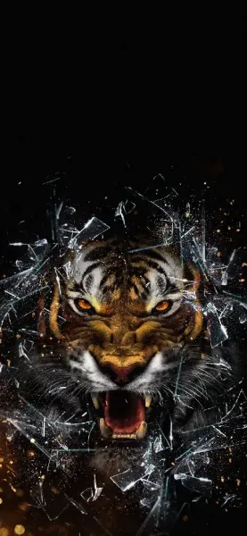  تصویر زمینه ببر سیاه