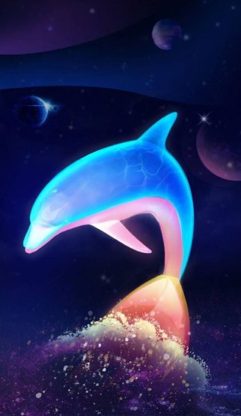  عکس دلفین زیبا