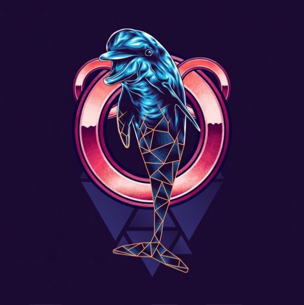  عکس دلفین زیبا