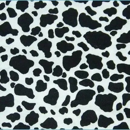  والپیپر گاوی