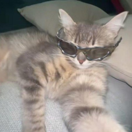  تصویر زمینه دختر با عینک دودی خفن