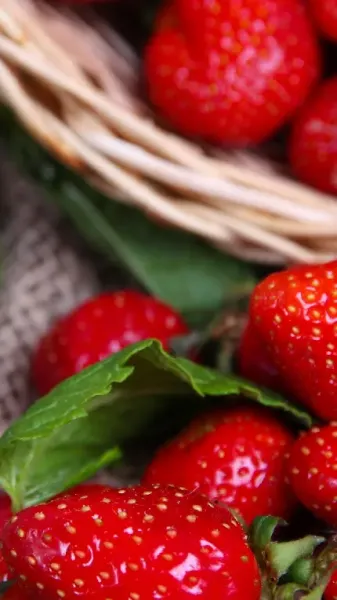 بک گراند توت فرنگی قرمز برای گوشی